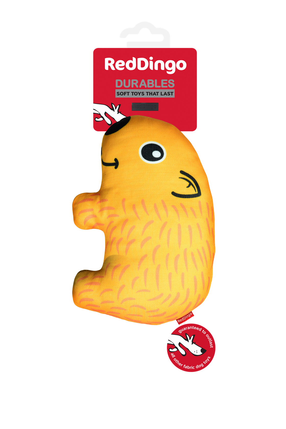 Photo du produit de référence : RJDTW241