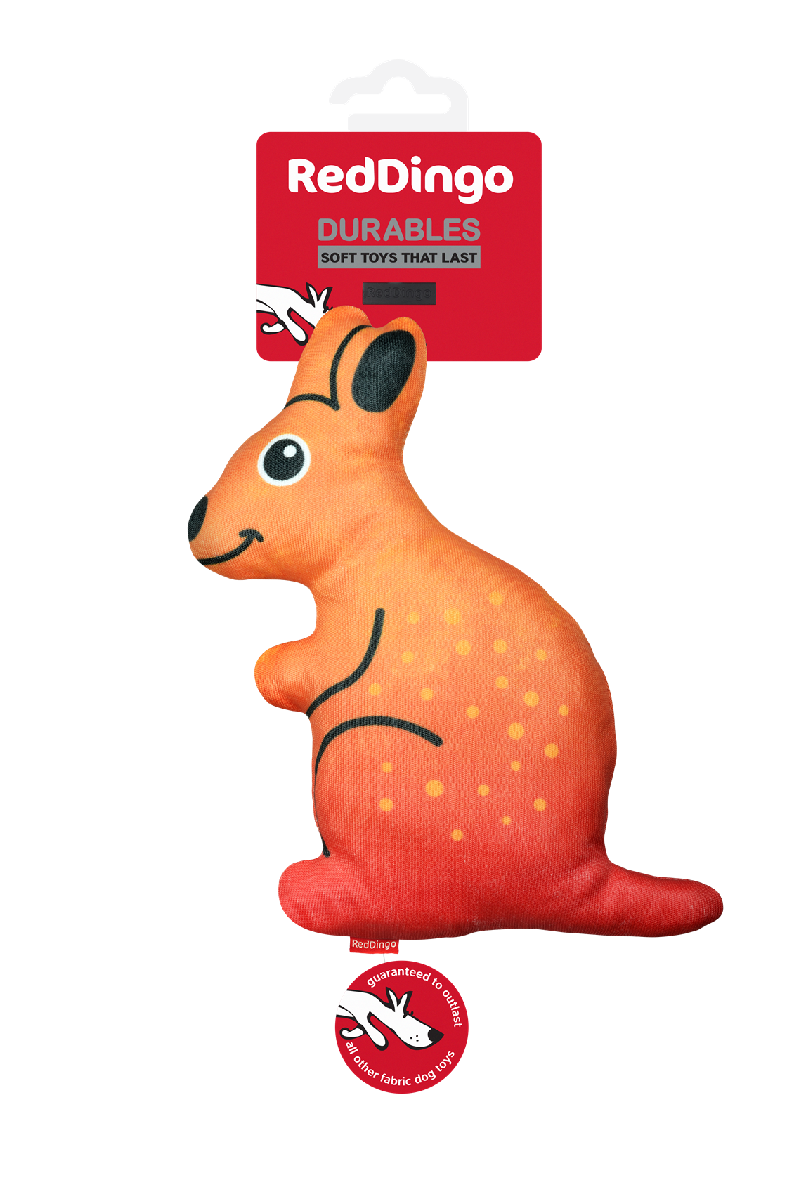 Photo du produit de référence : RJDTK203