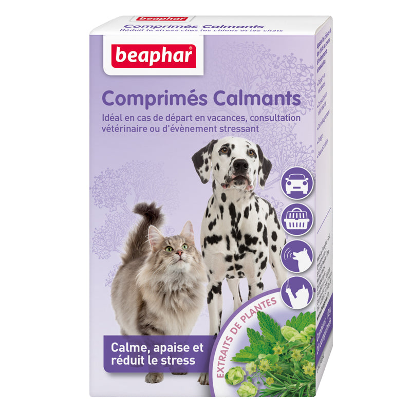 Photo du produit de référence : BCCCF902