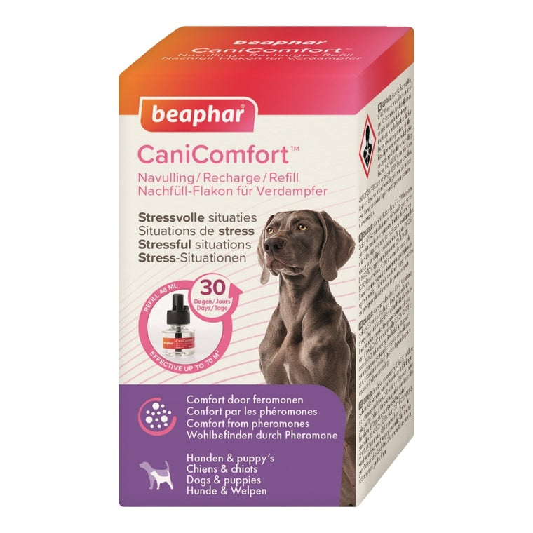 Photo du produit de référence : BCCR976