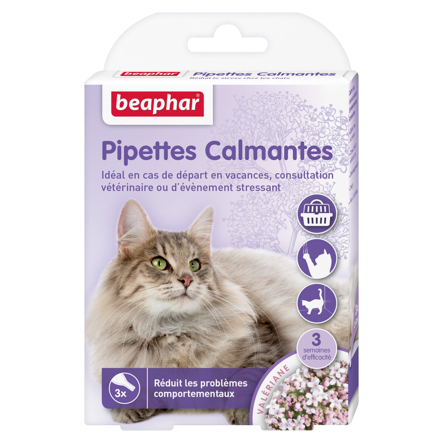 Photo du produit de référence : BCFP975