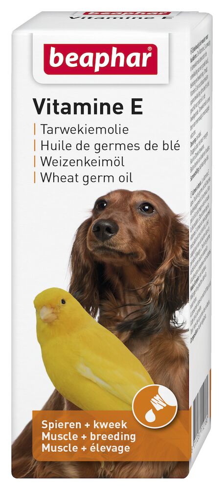 Photo du produit de référence : BCOV180