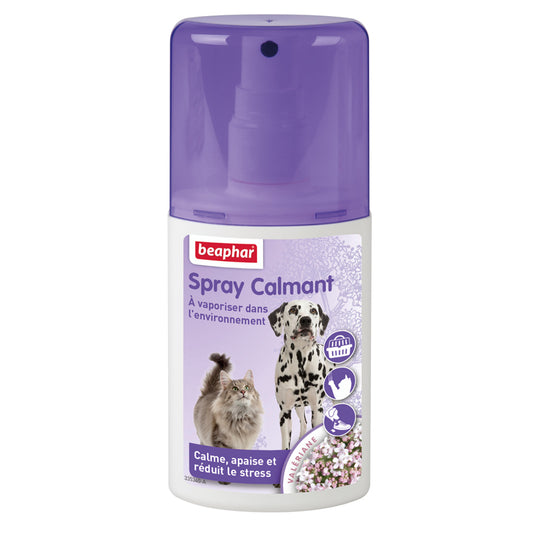 Photo du produit de référence : BCSE234