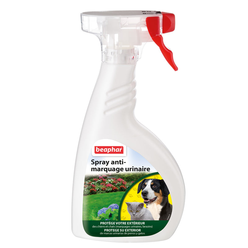 Photo du produit de référence : BEEE519