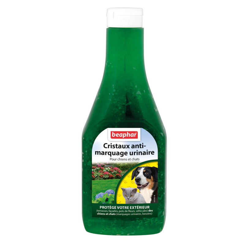 Photo du produit de référence : BEEE762