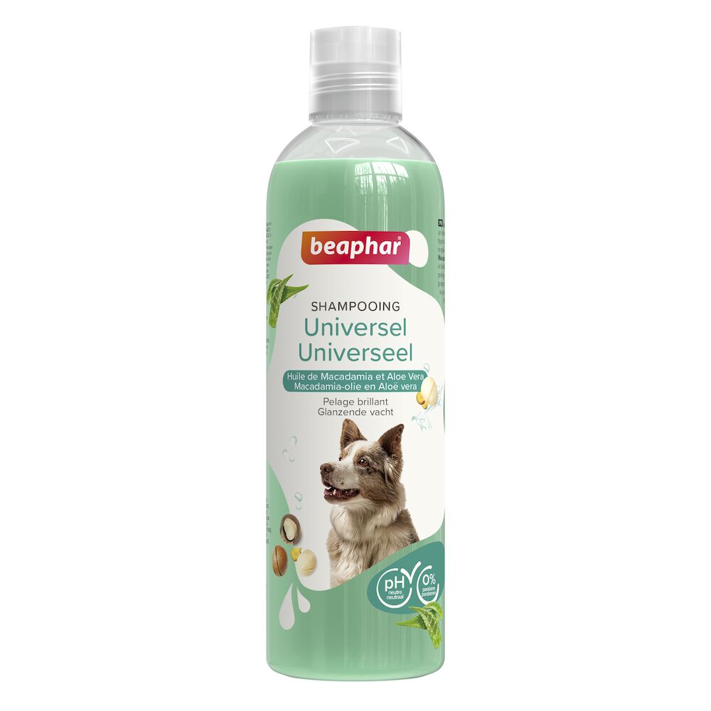Photo du produit de référence : BEUS662