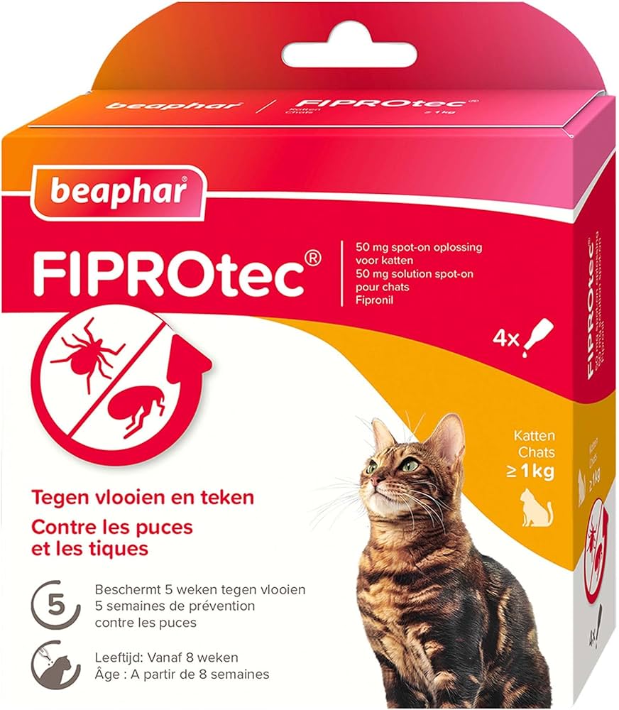 Photo du produit de référence : BF4FP906