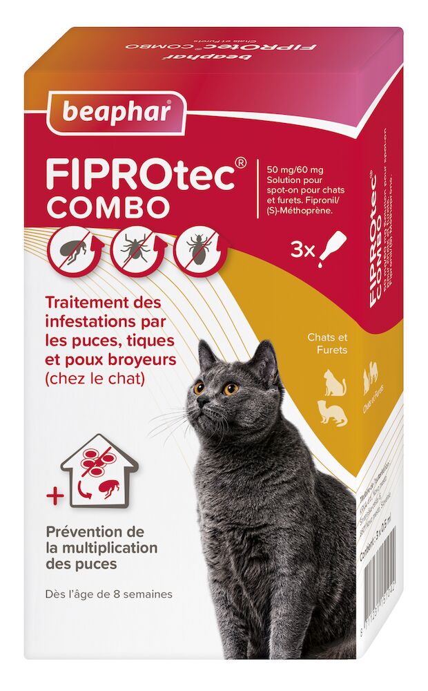 Photo du produit de référence : BFCFP042
