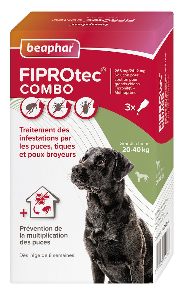 Photo du produit de référence : BFCLP080