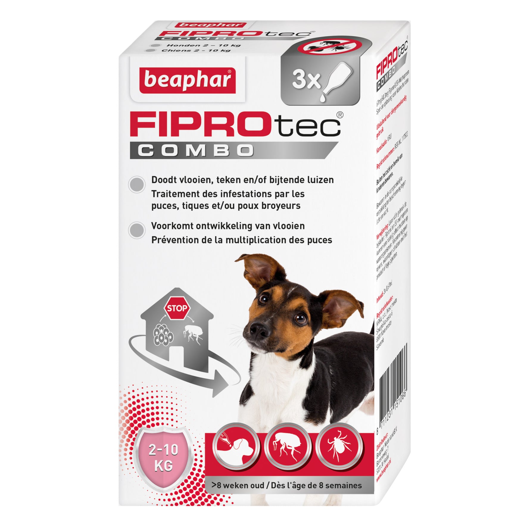 Photo du produit de référence : BFCSP066