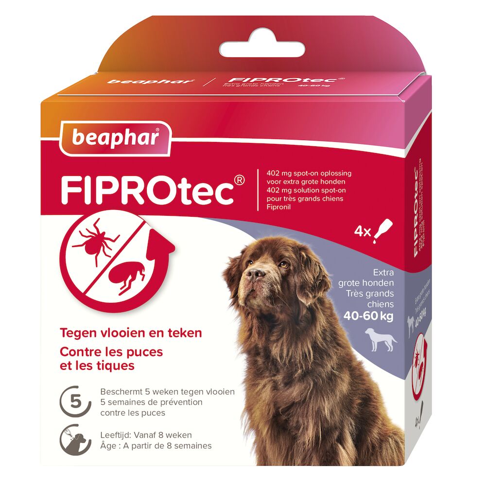 Photo du produit PIPETTE FIPROTEC (X4) T.XL - CHIEN BEAPHAR NEW