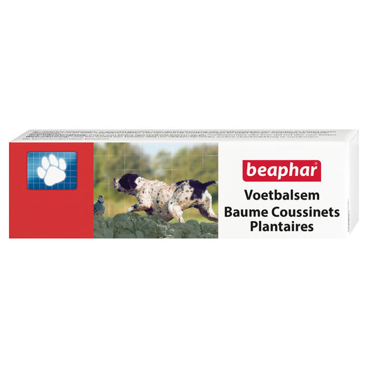 Photo du produit de référence : BHBC628