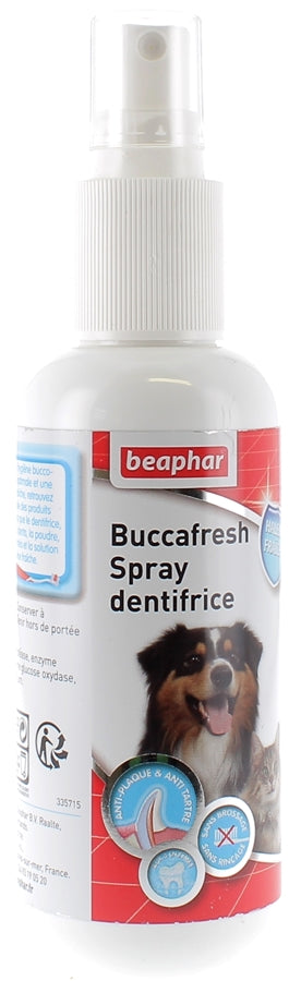 Photo du produit de référence : BHDSD019