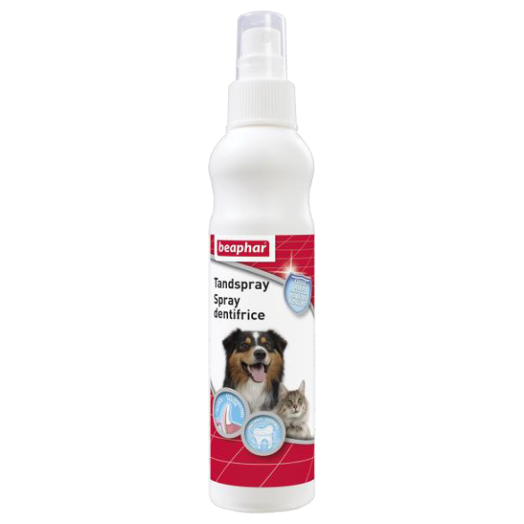 Photo du produit de référence : BHDSD1479
