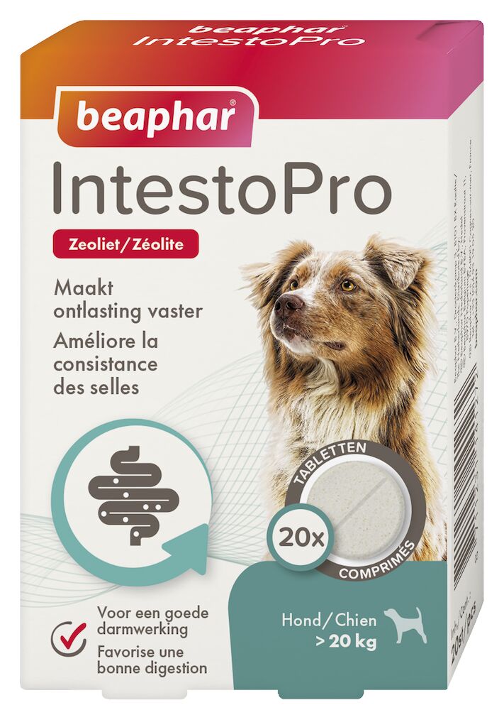 Photo du produit COMPRIME INTESTOPRO X20 - CHIEN BEAPHAR