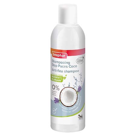 Photo du produit de référence : BSCSC256