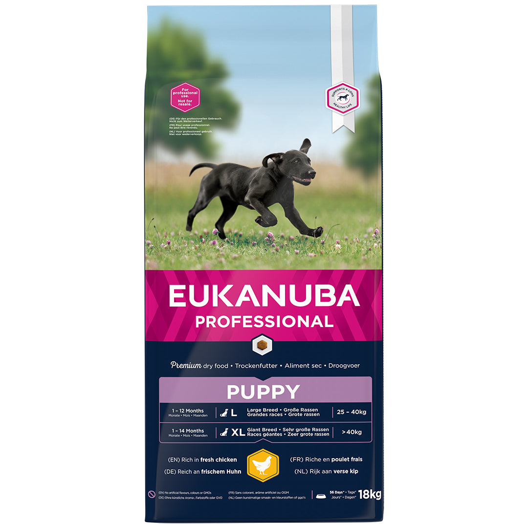 Photo du produit de référence : EELPP554