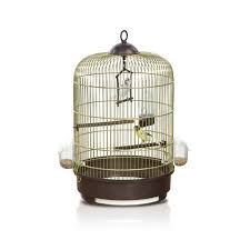 Photo du produit de référence : ICMN157