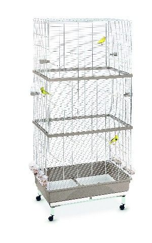 Photo du produit de référence : ICTN165