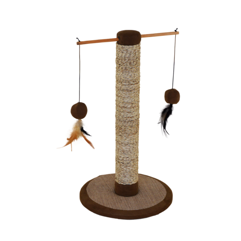 Photo du produit de référence : IGPP483