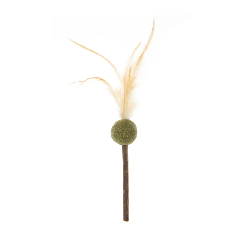 Photo du produit de référence : IJFBH014
