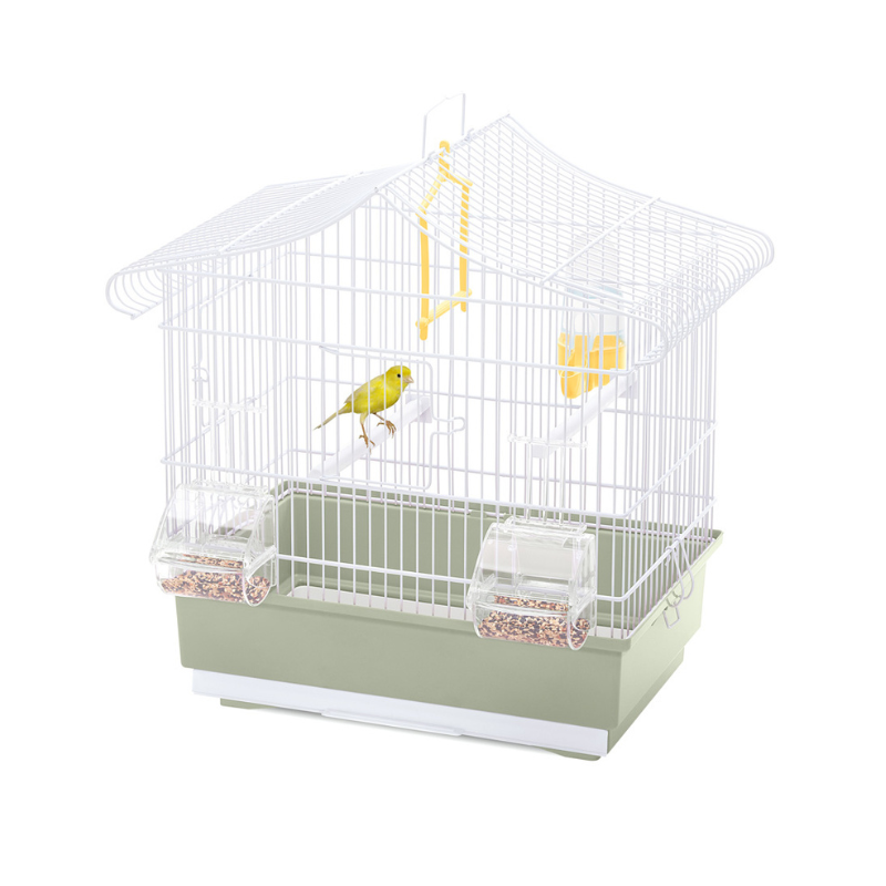 Photo du produit de référence : IOCT114