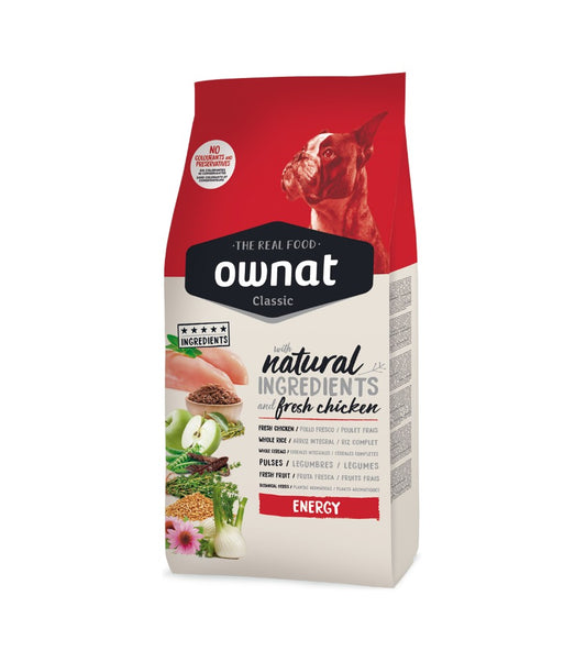 Photo du produit de référence : OCAEP082