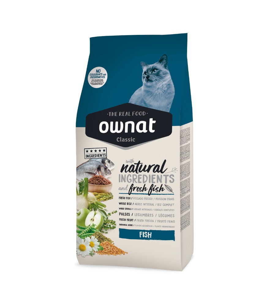 Photo du produit de référence : OCFAP235