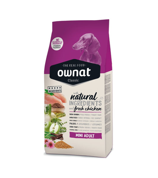 Photo du produit de référence : OCSAP006