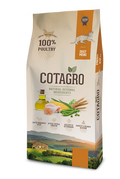 Photo du produit de référence : ODFAP146