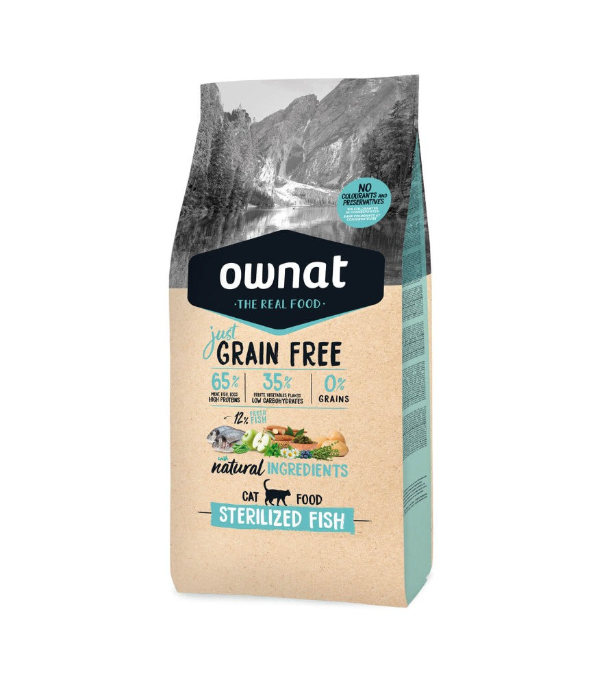 Photo du produit de référence : OJFASP122