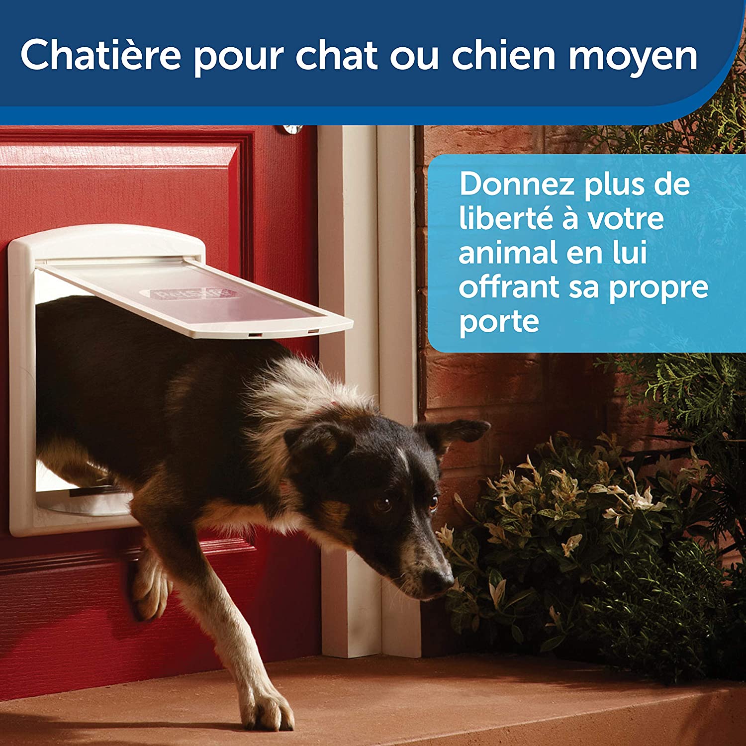 Photo du produit de référence : PECOM796
