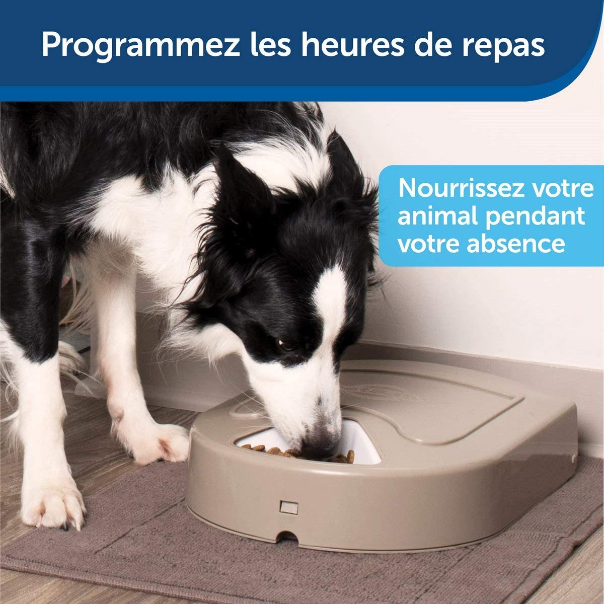 Photo du produit de référence : PEDA073