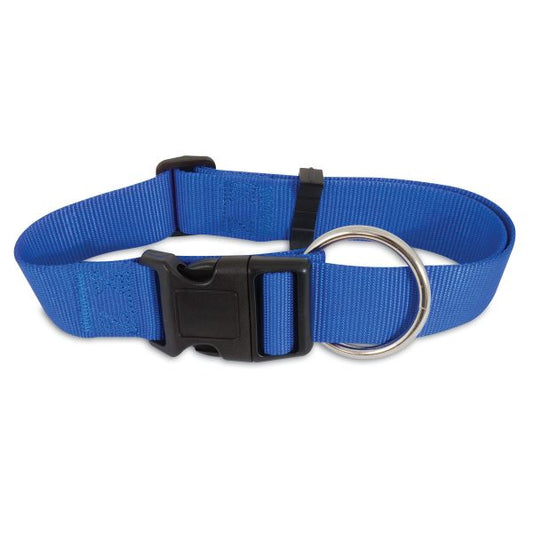 Photo du produit COLLIER UNI NYLON BLEU T.M - CHIEN ASPEN PET