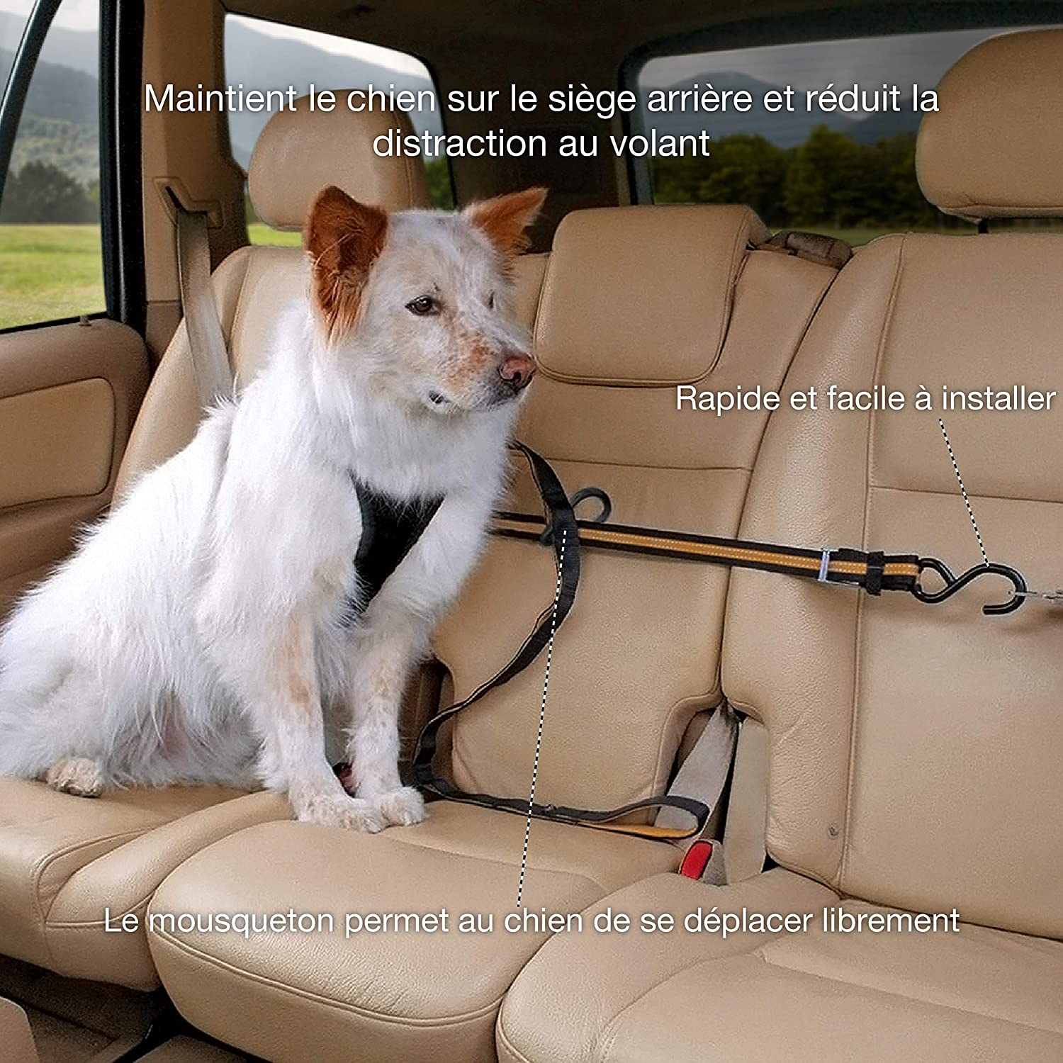 Photo du produit SANGLE ATTACHE AUTOZIP VOITURE - CHIEN KURGO