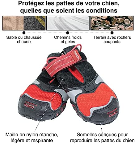 Photo du produit CHAUSSURE BLAZE CROSS T.L - CHIEN KURGO