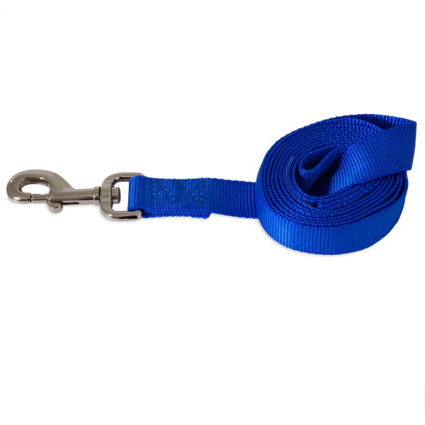 Photo du produit LAISSE UNI NYLON BLEU T.L - CHIEN ASPEN PET