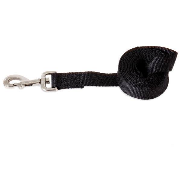 Photo du produit LAISSE UNI NYLON NOIR T.L - CHIEN ASPEN PET