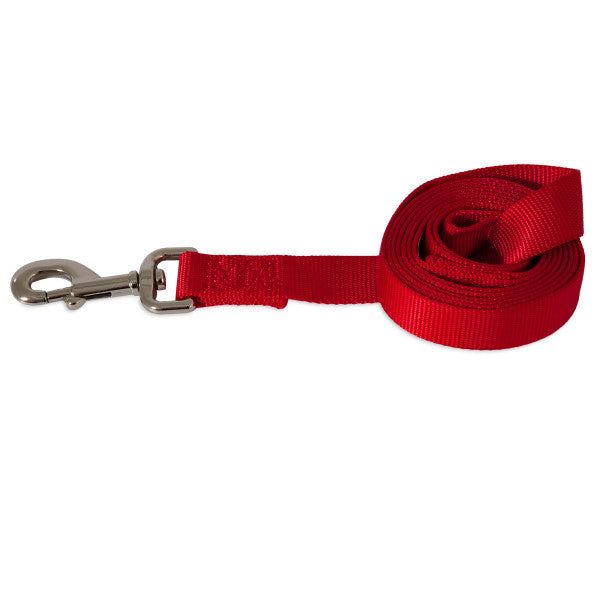 Photo du produit LAISSE UNI NYLON ROUGE T.L - CHIEN ASPEN PET