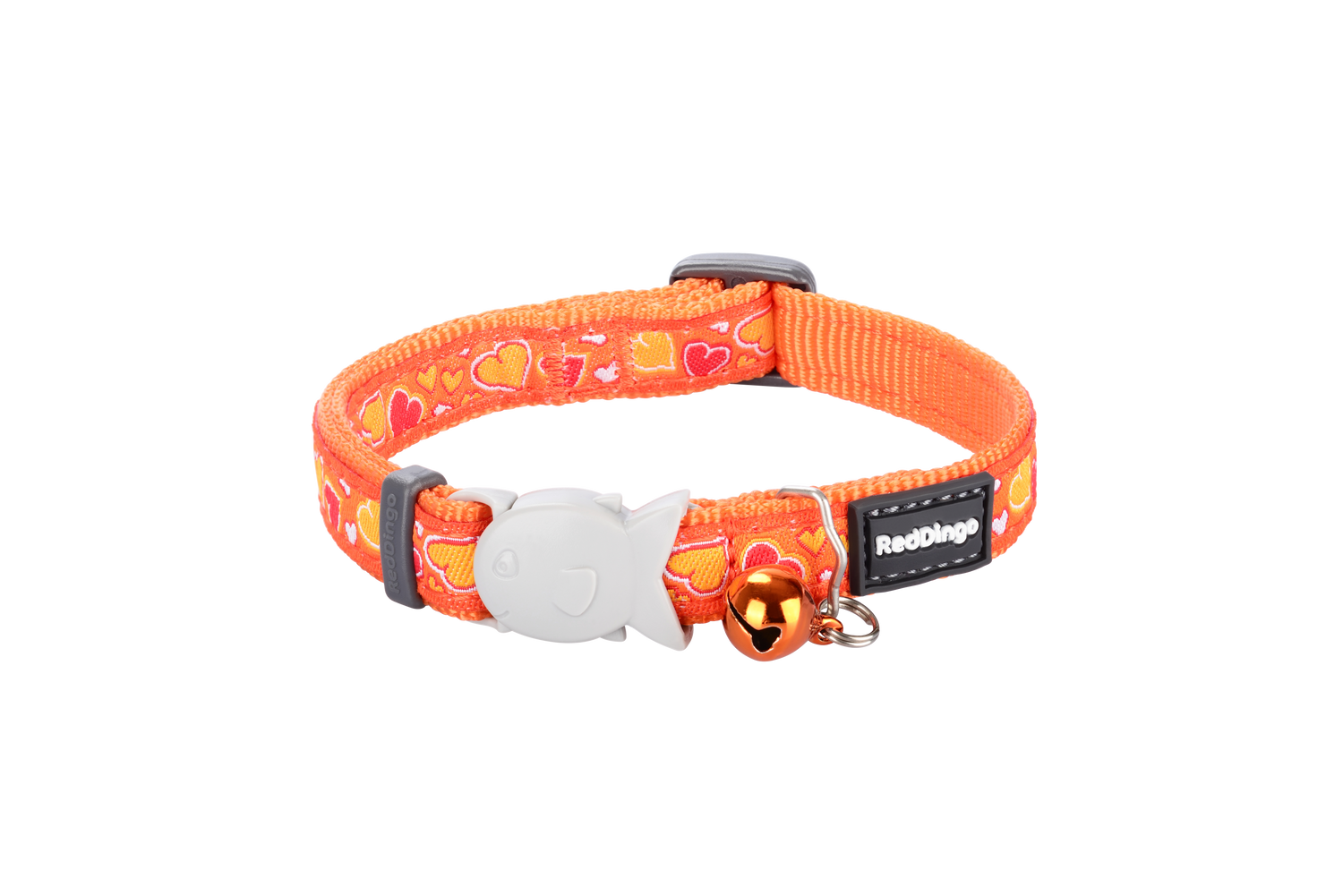 Photo du produit de référence : RCFBO570