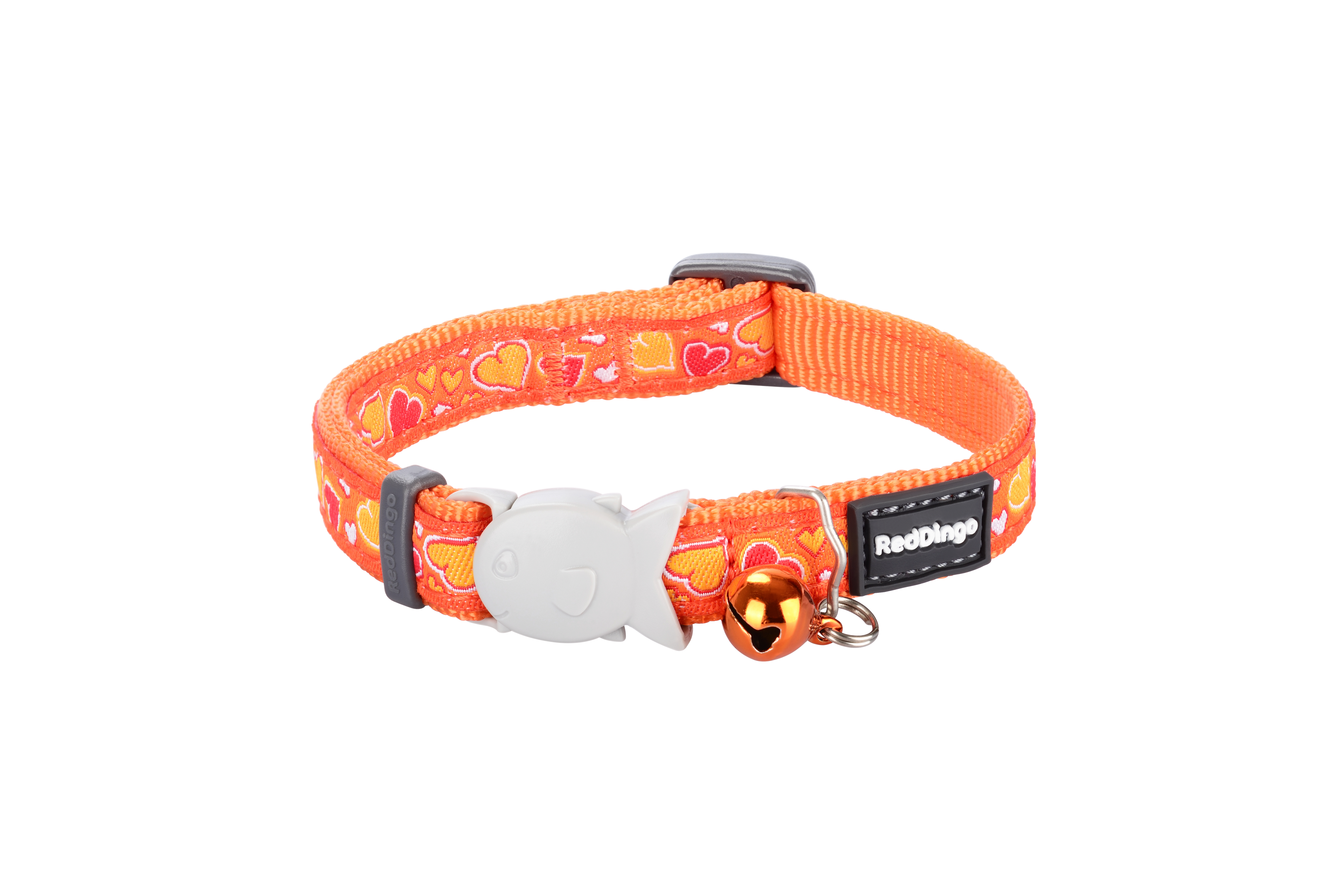 Photo du produit de référence : RCFBO570