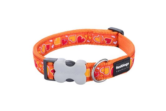 Photo du produit COLLIER IMPRIME BREEZY LOVE ORANGE T.XS/S (12MM) - CHIEN RED DINGO