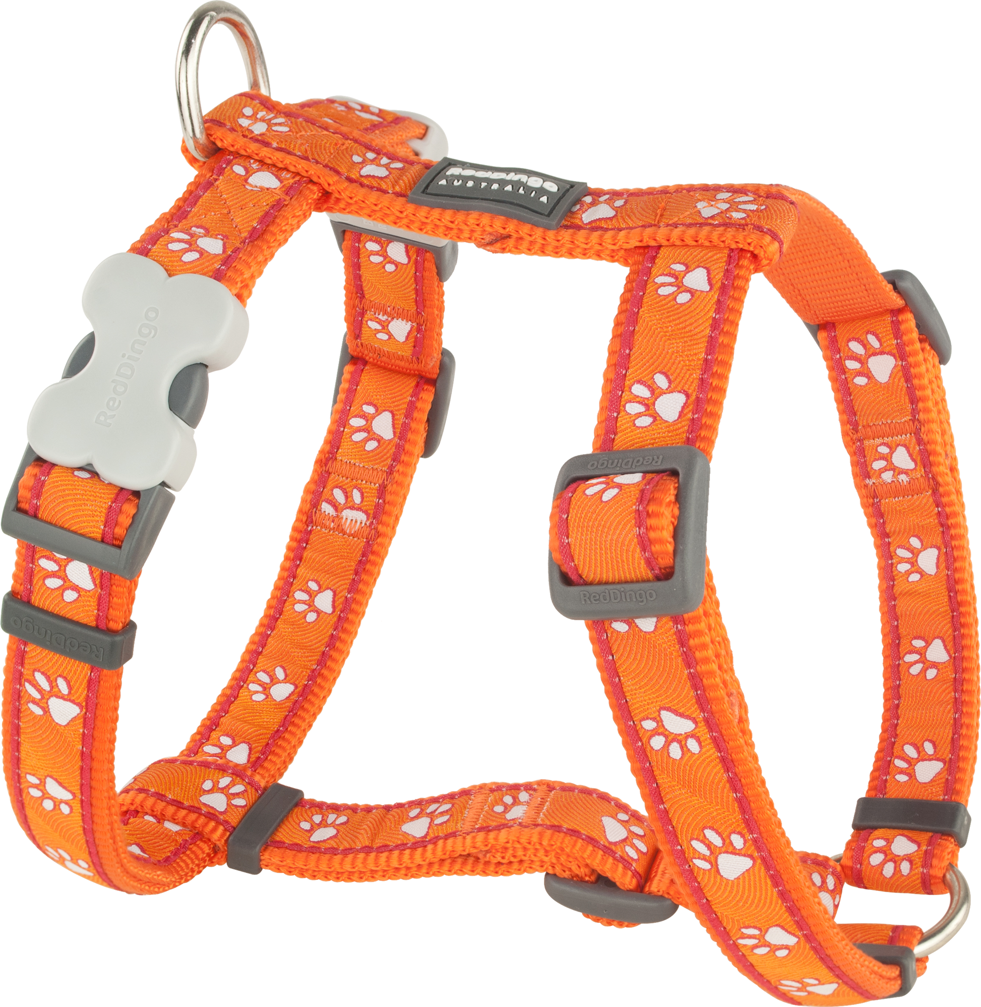 Photo du produit HARNAIS IMPRIME DESERT PAWS ORANGE T.M/L (20MM) - CHIEN RED DINGO