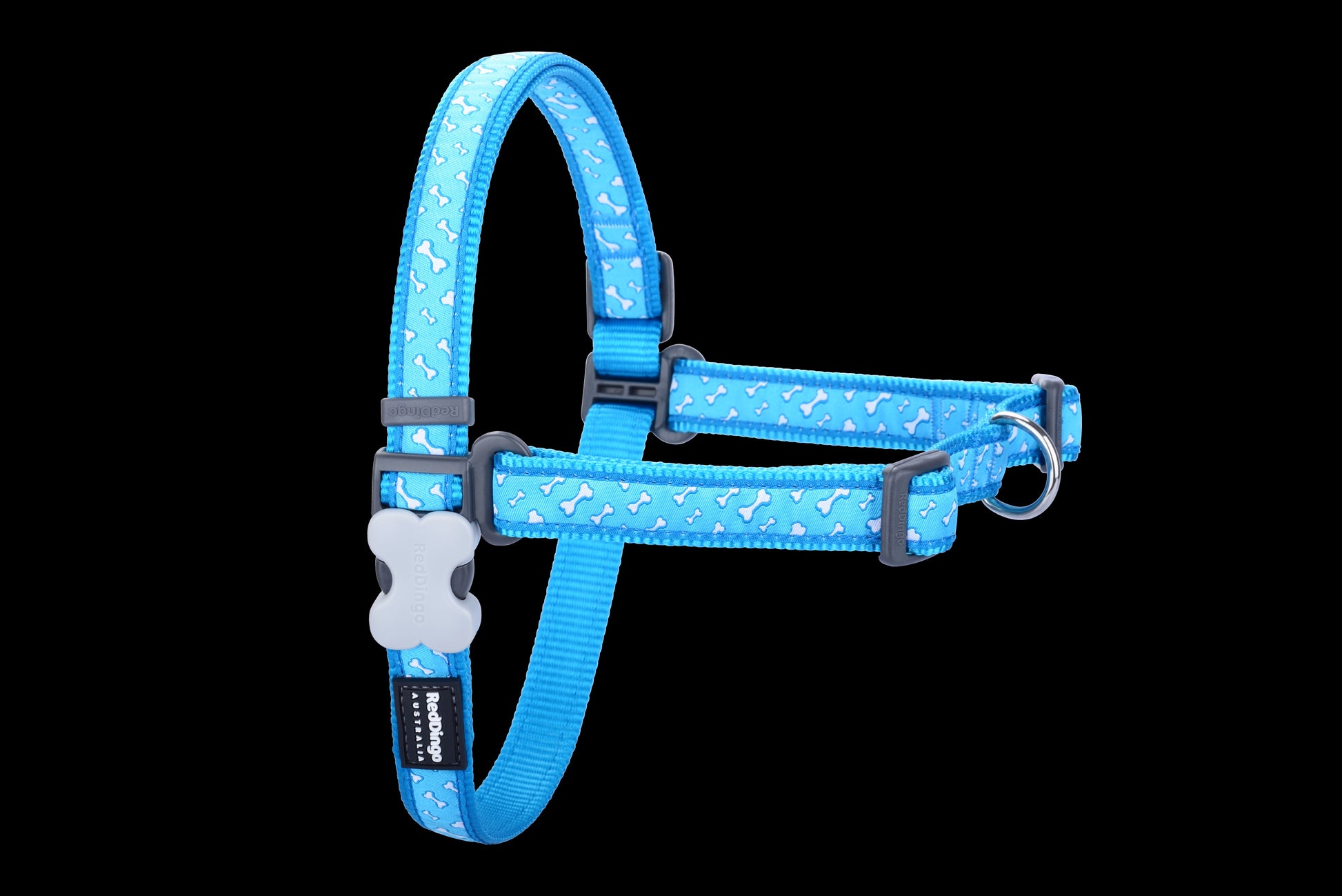 Photo du produit HARNAIS IMPRIME ANTI-TRACTION FLYING BONE TURQUOISE T.M/L (20MM)-CHIEN RED DINGO