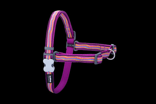 Photo du produit HARNAIS IMPRIME ANTI-TRACTION DREAMSTREAM MAUVE T.S/M (15MM) - CHIEN RED DINGO