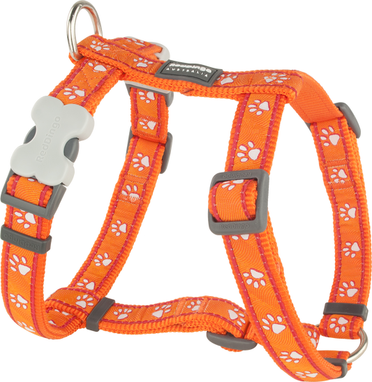 Photo du produit HARNAIS IMPRIME DESERT PAWS ORANGE T.XS/S (12MM) - CHIEN RED DINGO