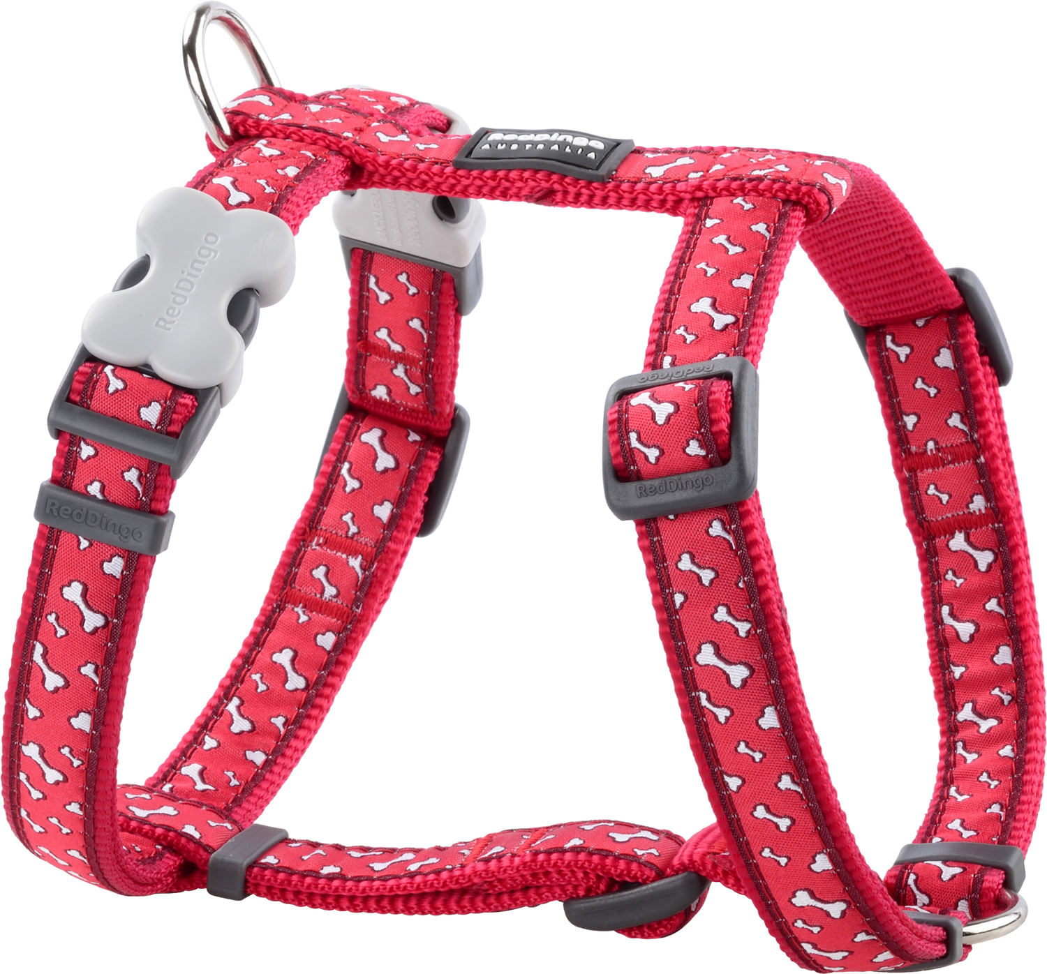 Photo du produit de référence : RHSIFBR565