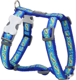 Photo du produit de référence : RHSPB054