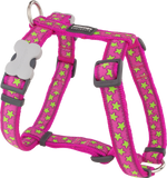 Photo du produit de référence : RHSSLP467