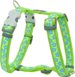 Photo du produit de référence : RHSSTG061